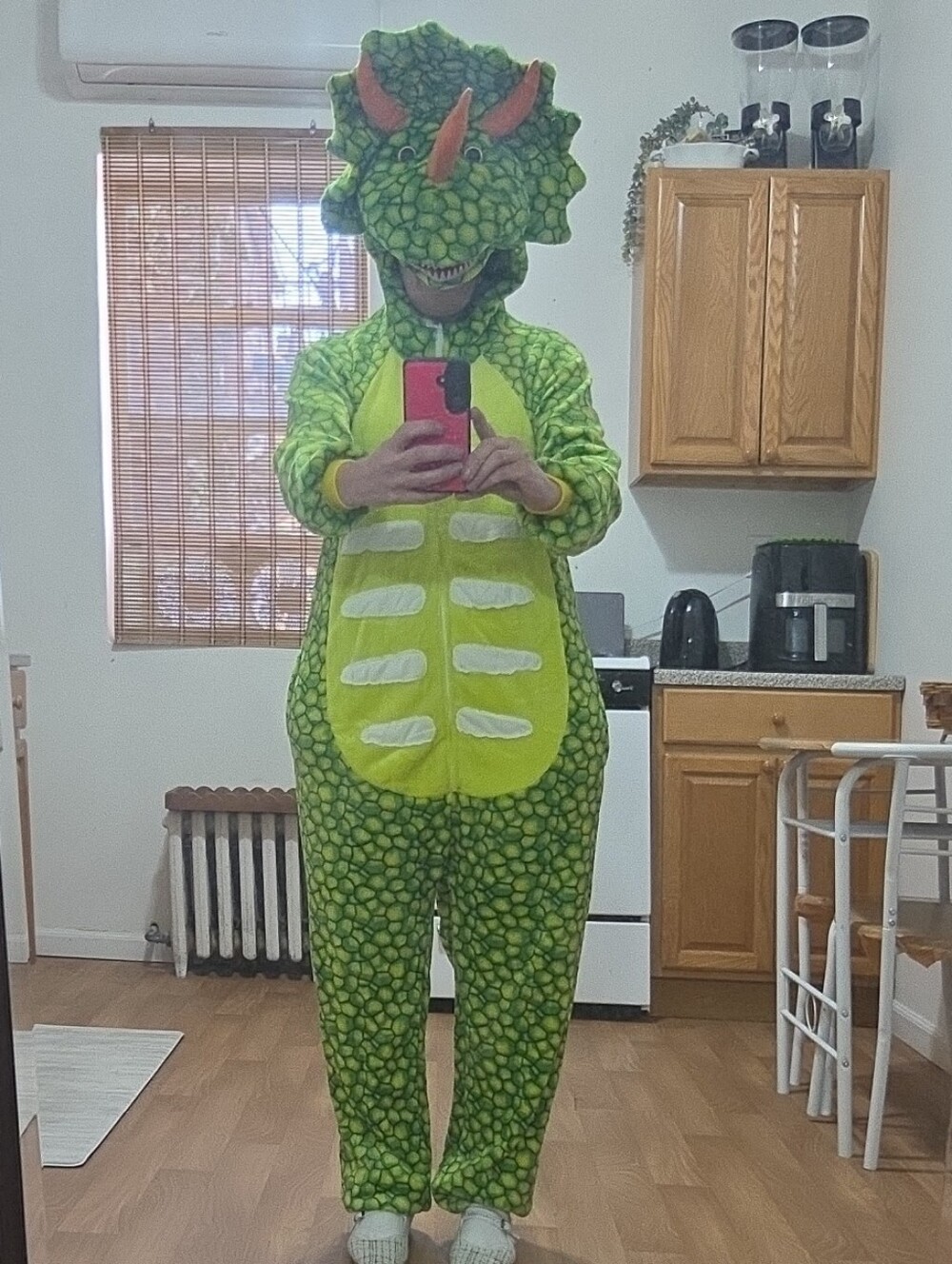 Women/unisex Green Dinosaur Costume